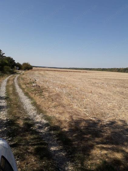 Teren de 5800 mp, în Moara Vlăsiei