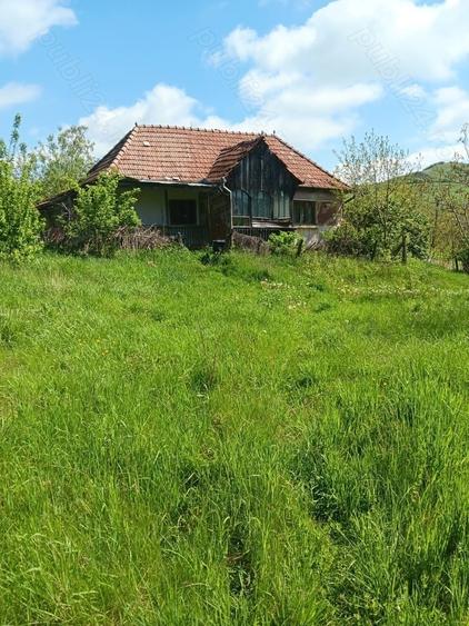 Teren de 3600 mp, în Miceștii de Câmpie