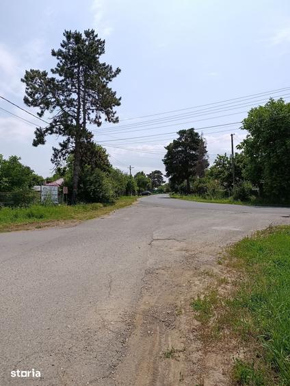 Teren de 216967 mp, în Nuci