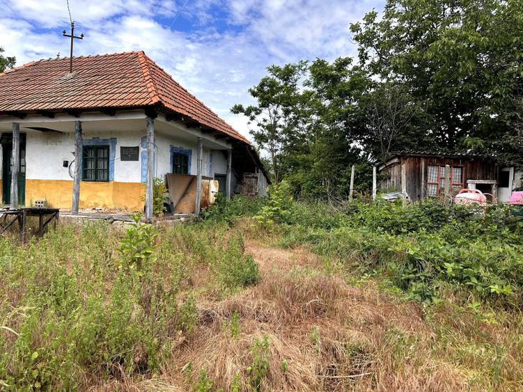 Casă cu 2 camere în Câmpu Mare