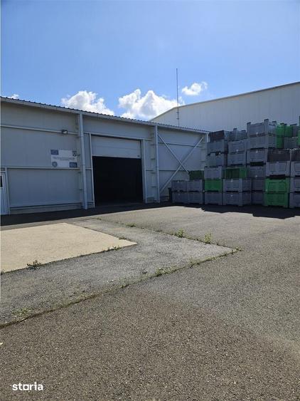 Spațiu comercial, de 2,000 mp, în Șura Mare