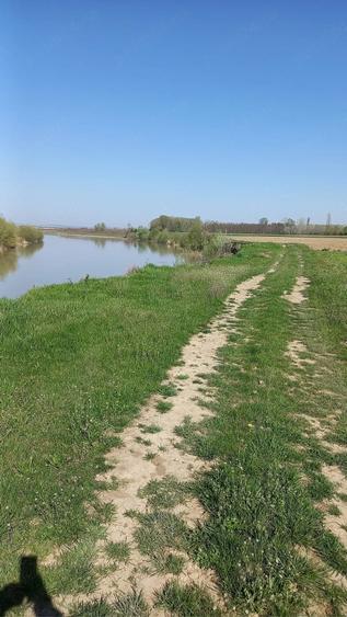 Teren de 20000 mp, în Ion Creangă