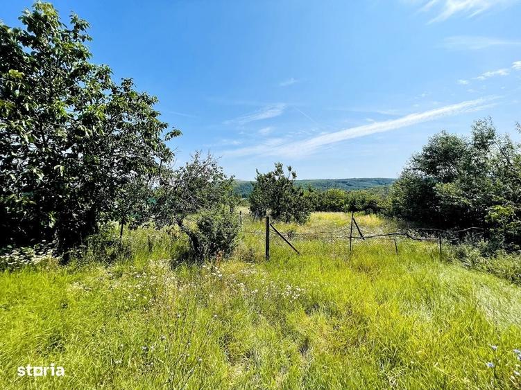 Casa + 2635 mp teren oportunitate Cordau - 5