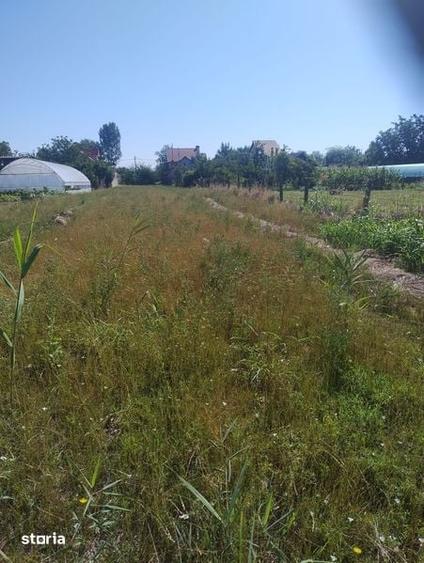 Teren de 2800 mp, în Slătioara