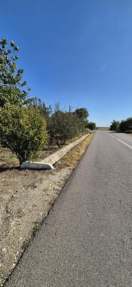 Casă cu 3 camere cu Teren 1000 Mp în Curătești