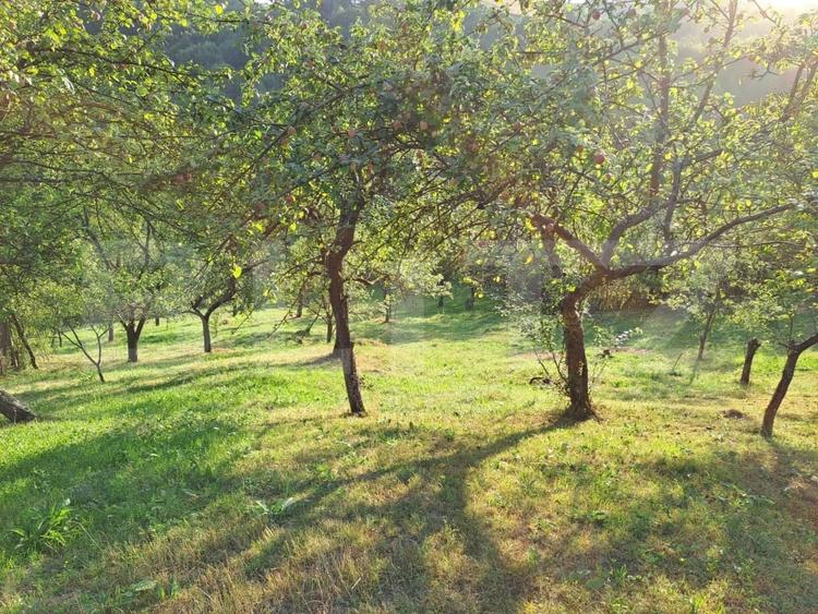 Casă individuală cu 2 camere cu Teren 10000 Mp în Almașu Mare