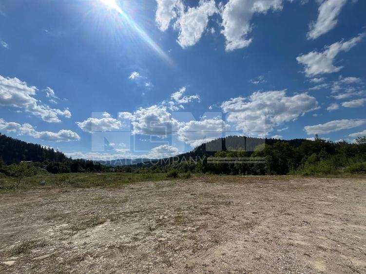Teren Construcții intravilan de 22600 mp, în Sucevița