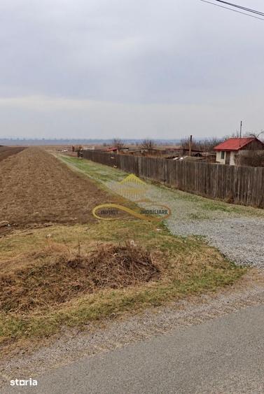 Teren de 1000 mp, în Săucești