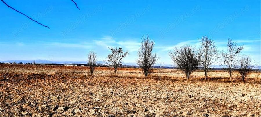 Casă cu 2 camere cu Teren 2536 Mp în Poienarii-Rali