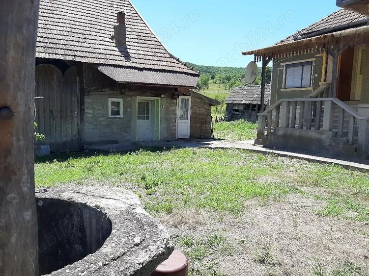 Casă cu 3 camere cu Teren 4000 Mp în Tămașa