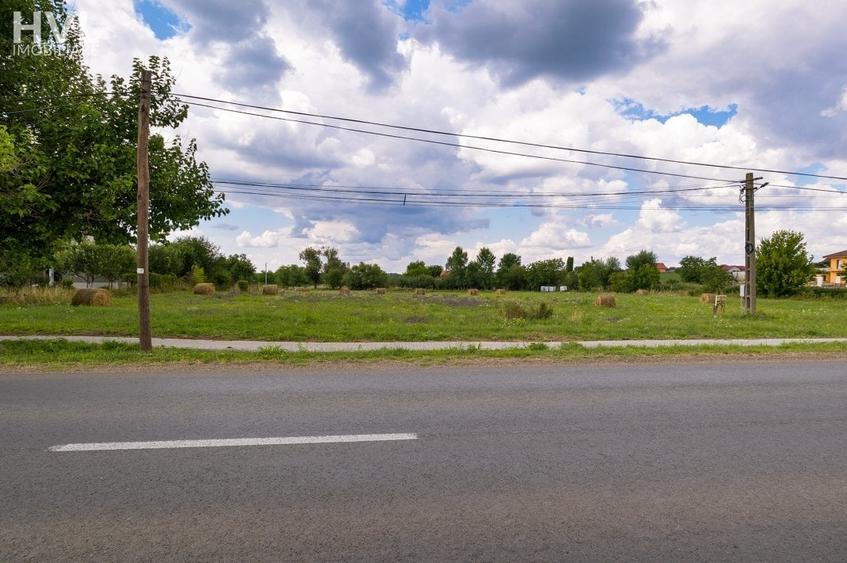 Teren Construcții intravilan de 2305 mp, în Bodrogu Nou