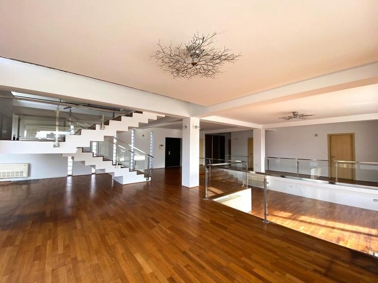 Spațiu comercial, de 650 mp, în Micălaca