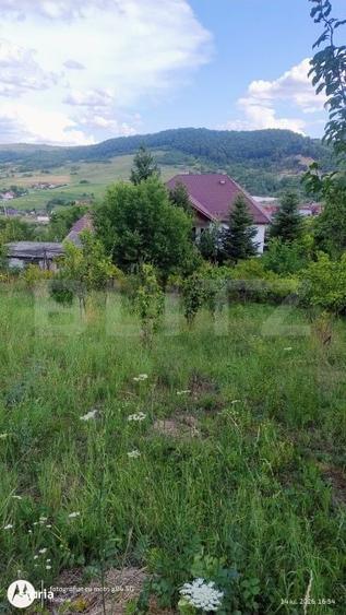 Casă cu 4 camere cu Teren 7729 Mp în Central