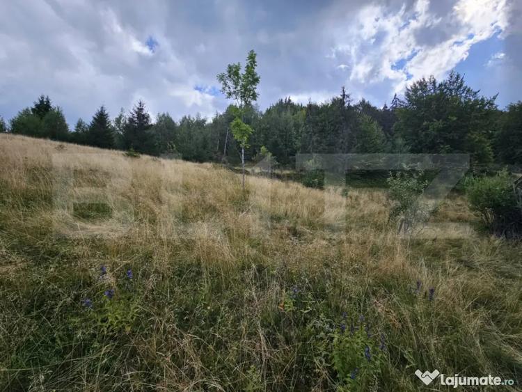 Teren intravilan 5.271 mp cu priveli?te spectaculoasa - 5