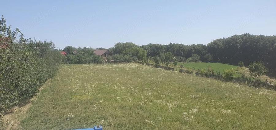 Teren de 5000 mp, în Schitu Hadâmbului