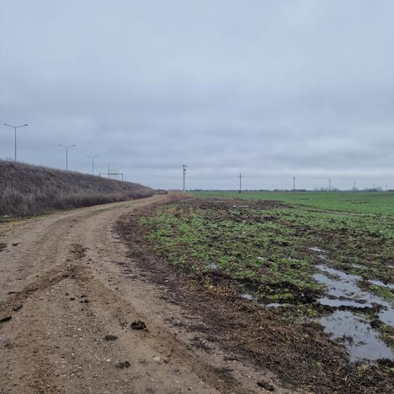 Teren agricol intravilan de 4000 mp, în Dimieni