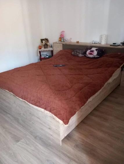 Vand o proprietate cu 2 case Cazasu, Satuc - 7