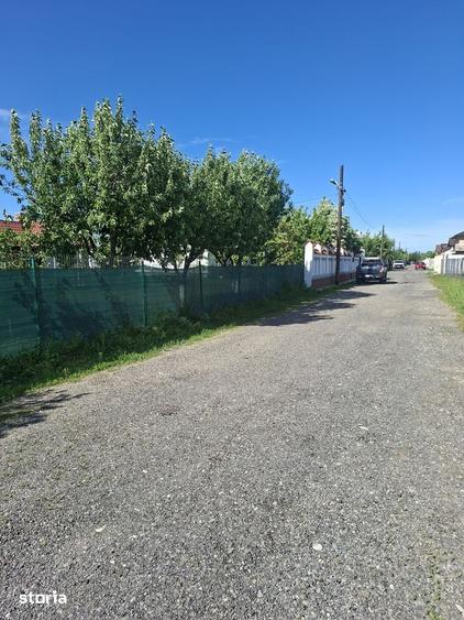 Cornetu, Teiului, Stradal - 3