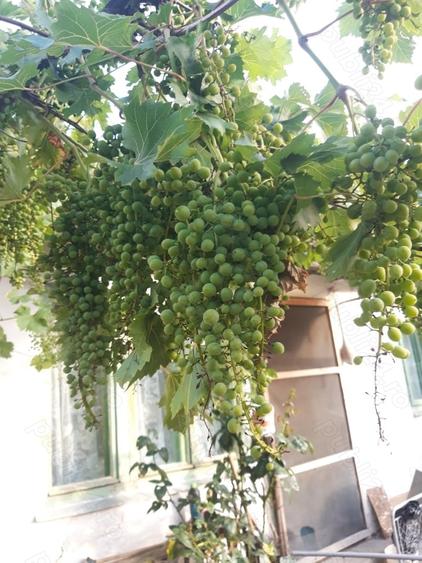 Casă cu 4 camere în Moroda