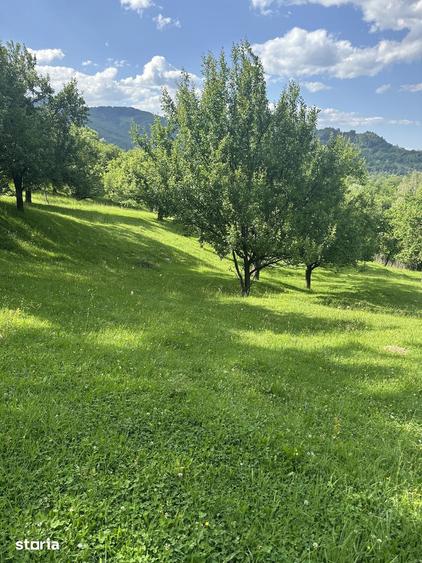 Teren de 10000 mp, în Șotrile