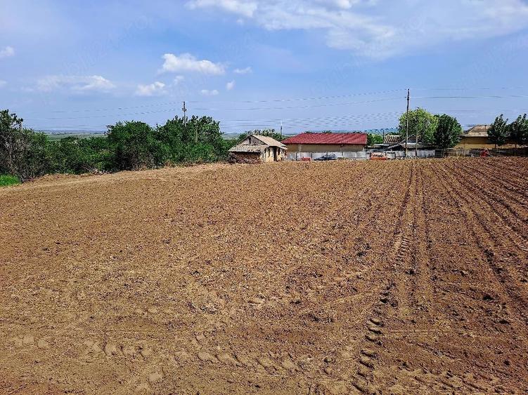 Teren de 3000 mp, în Văcăreni