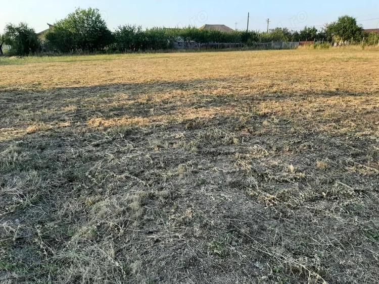 Teren de 870 mp, în Central