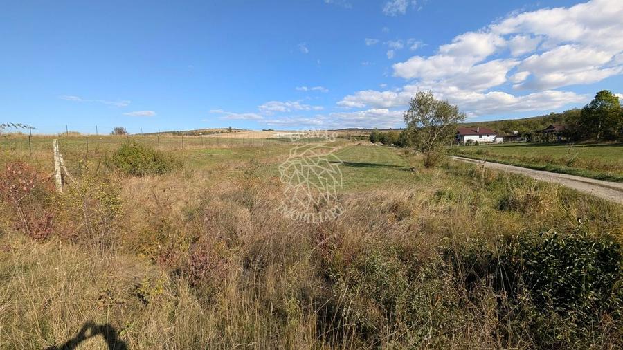 Teren agricol extravilan de 2800 mp, în Sud