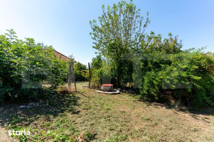 Casă cu 3 camere cu Teren 4000 Mp în Brănișca