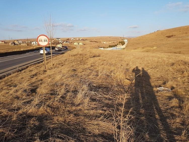 Teren Construcții intravilan de 33000 mp, în Calea Romanului