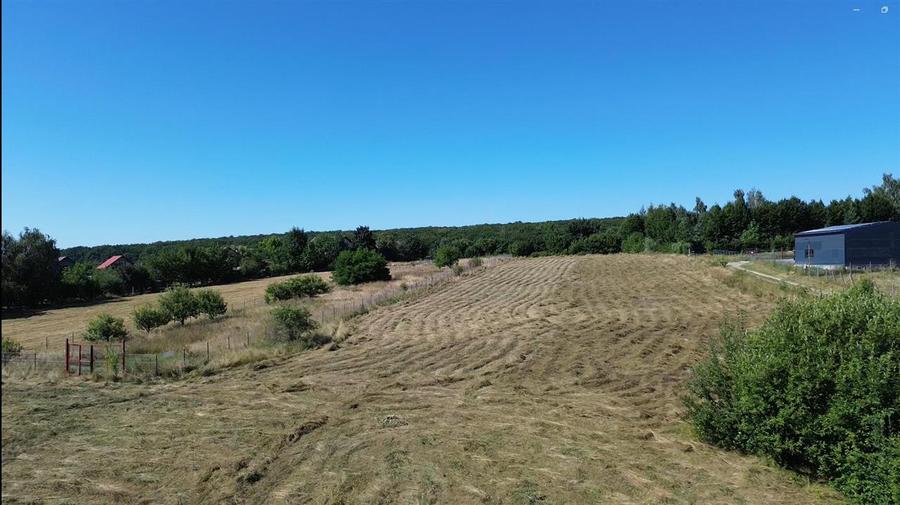 Teren Construcții intravilan de 6200 mp, în Mitocu Dragomirnei