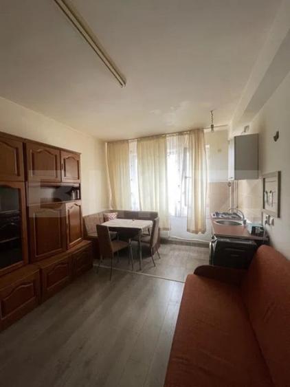 Garsoniera , pet friendly, zona strazii Lombului - 7