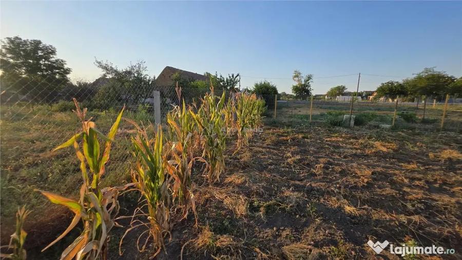 Casă cu 3 camere cu Teren 1410 Mp în Checea