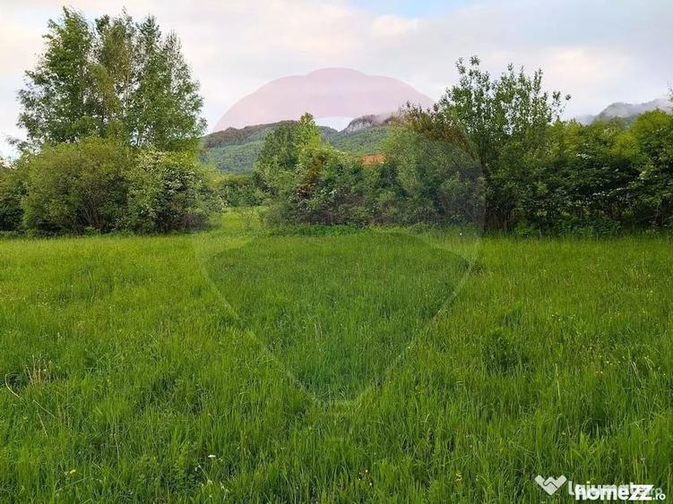 Teren în Tohănița