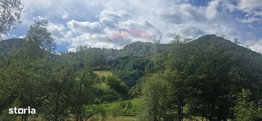 Teren de 1260 mp, în Râu Sadului