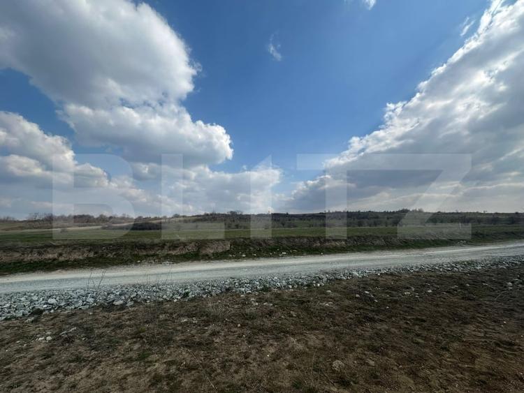 Teren agricol extravilan de 14994 mp, în Centura Narciselor