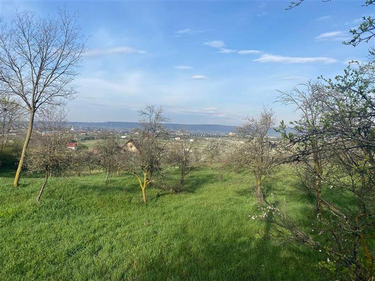 Teren Construcții intravilan de 6000 mp, în Periferie