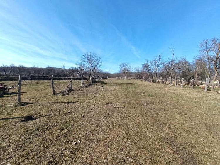 Teren Construcții intravilan de 2950 mp, în Pâclișa