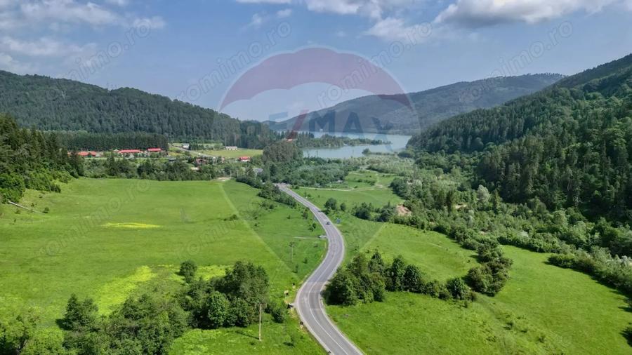 Teren de 10000 mp, în Brădet