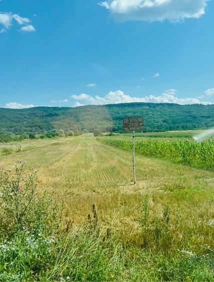 Teren de 2700 mp, în Șerbăneasa