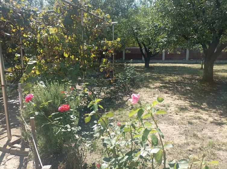 Casă cu 5 camere cu Teren 1500 Mp în Central