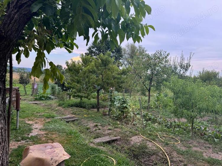 Casă cu 3 camere cu Teren 5200 Mp în Țela