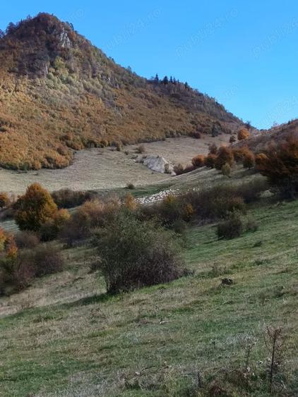 Teren în Central