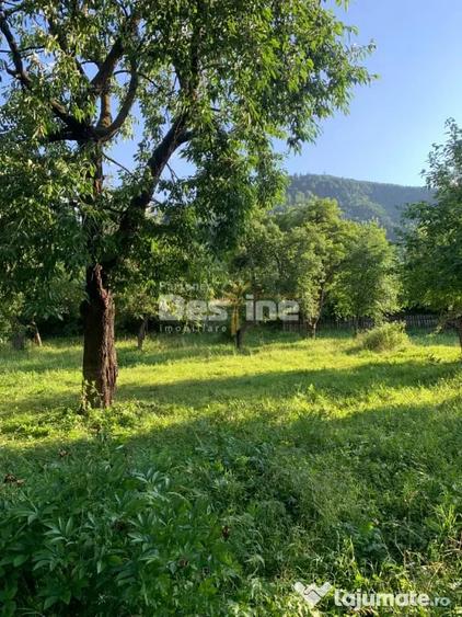 Casă cu 6 camere cu Teren 2793 Mp în Brusturoasa