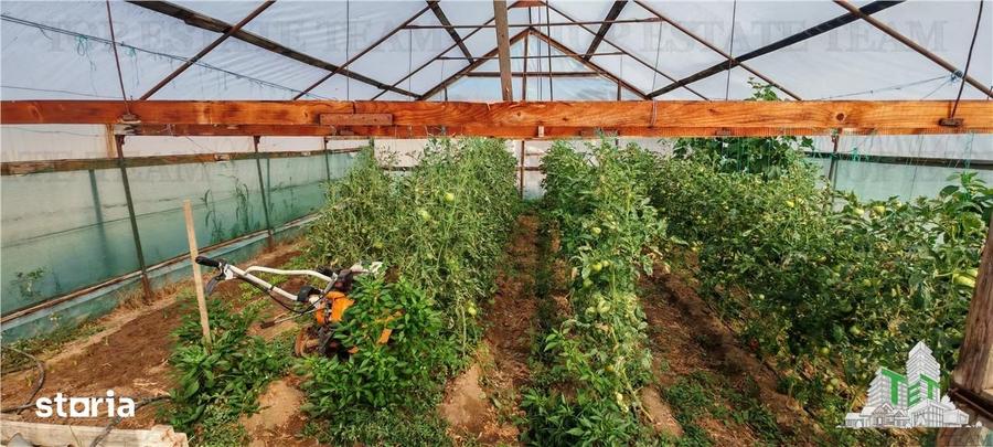 Casă cu 7 camere cu Teren 33000 Mp în Militari