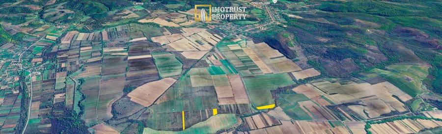 Teren agricol extravilan de 2200 mp, în Tauț