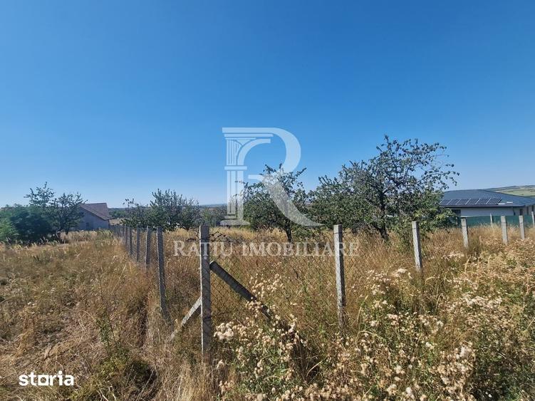 Teren de 1000 mp, în Paleu
