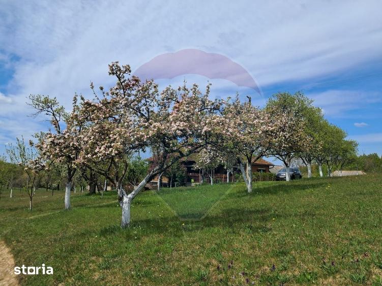 De vanzare casa cu teren 1,17ha la munte, Munteni, Bulz, spre Hiltop - 14
