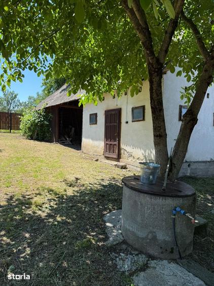 Casă cu 4 camere cu Teren 1900 Mp în Frunzeni