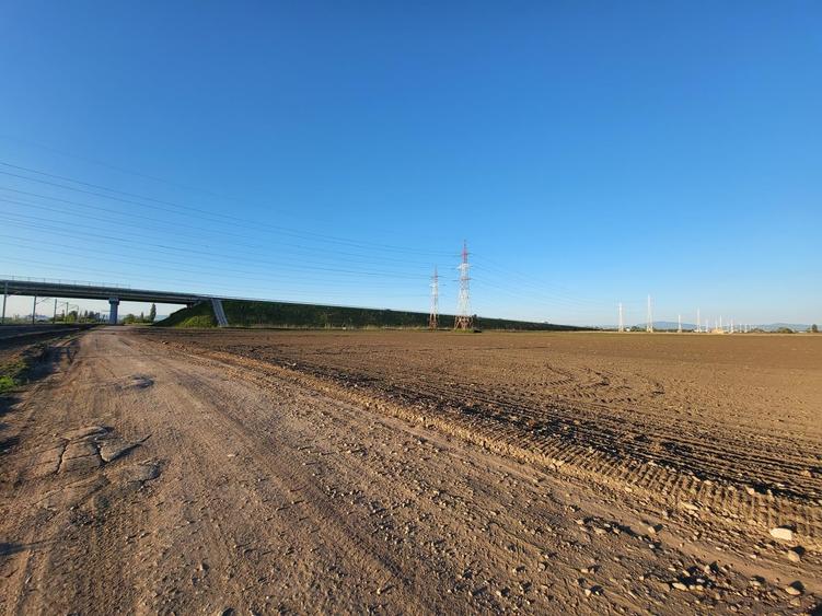 Teren Construcții intravilan de 2650 mp, în Rulmentul