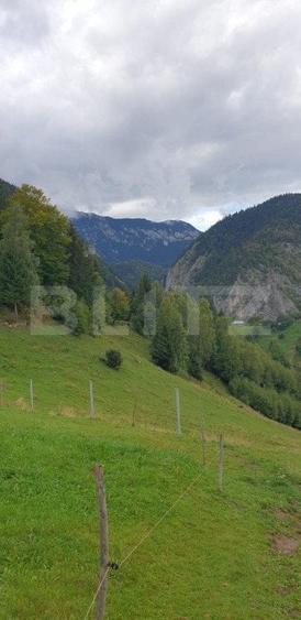 Teren 13.570 mp, Moieciu Pestera - 14